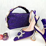 Elegant Exquisite High Heel and Clutch Bag set